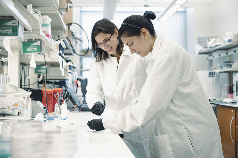 acqueline Linnes and Sayeh Dowlatshahi 