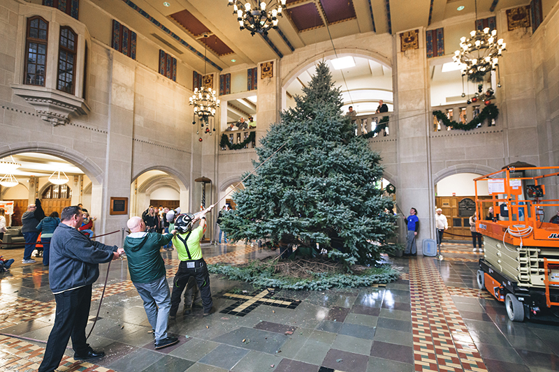 brief image description