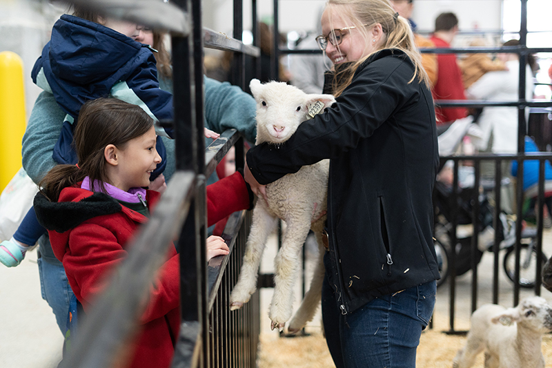 Kids petting sheep