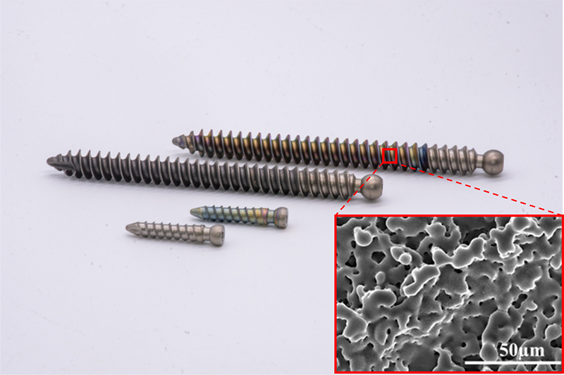 titanium-screws