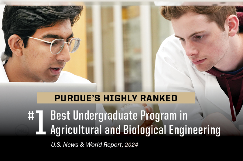 Undergraduate program ranking