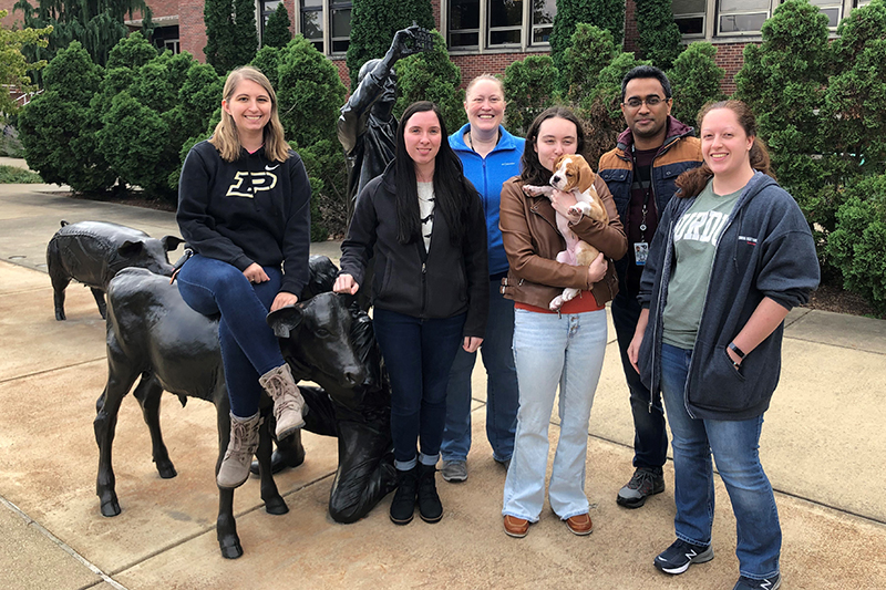 Canine genetic lab researchers