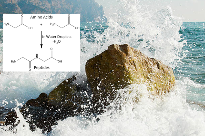 Protein formation from amino acids in primordial sea spray