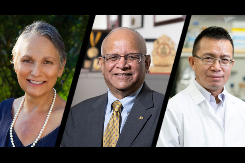 Marcia Gentry, Jay Gore and Zhao-Qing Luo