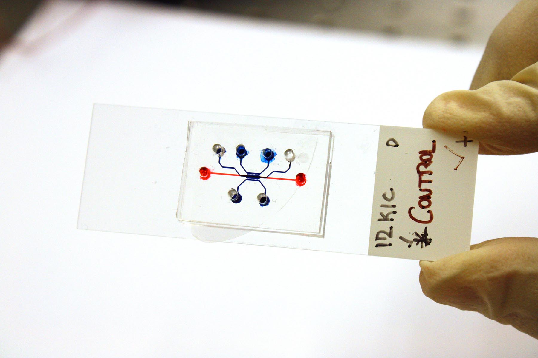 microfluidic device