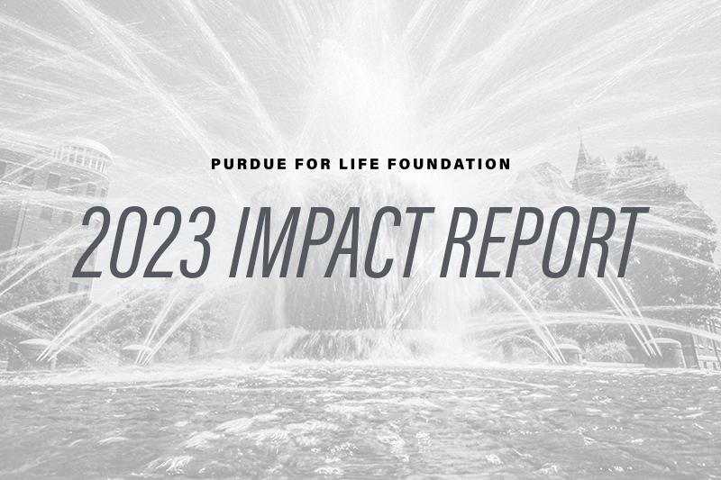 Impact Report