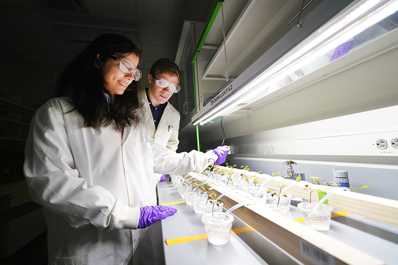 Purdue ag researchers