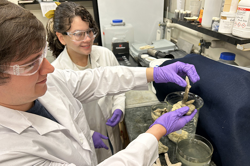 Purdue researchers in lab