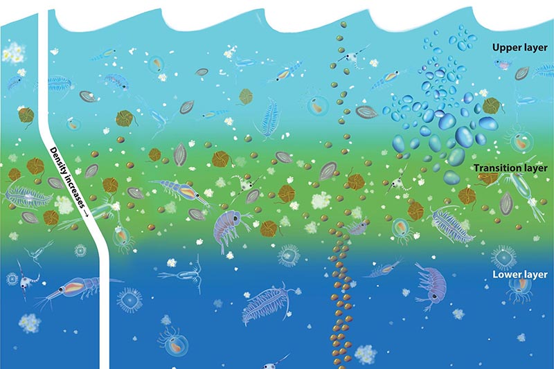 Ocean layers graphic