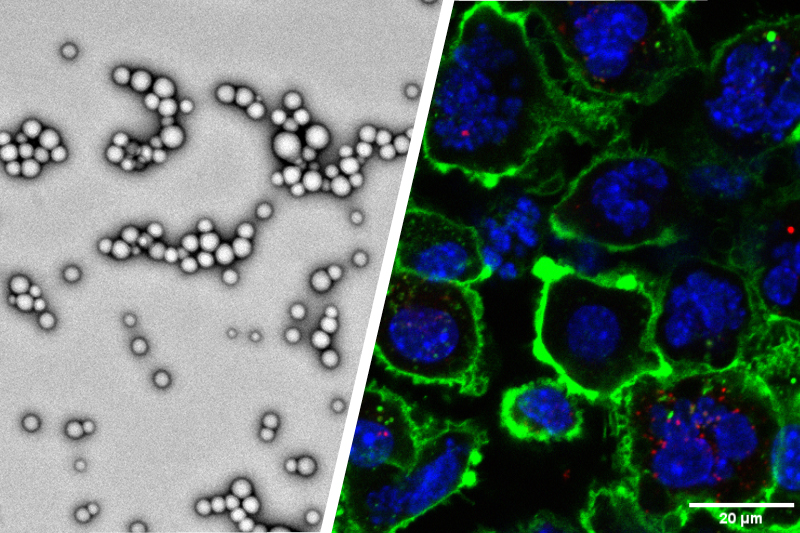 YoonNanoparticles