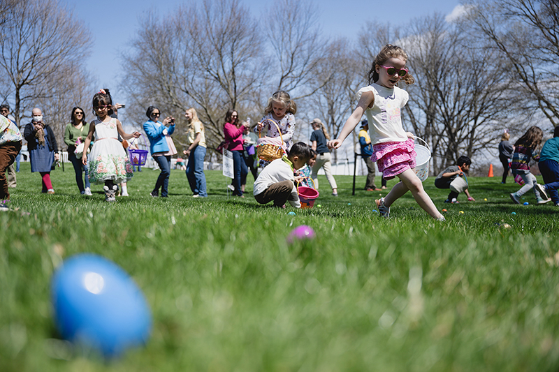 Easter Egg hunt
