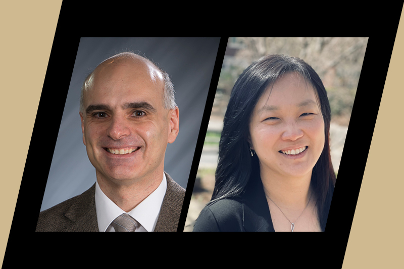 Dimitrios Peroulis and Sang Eun Woo