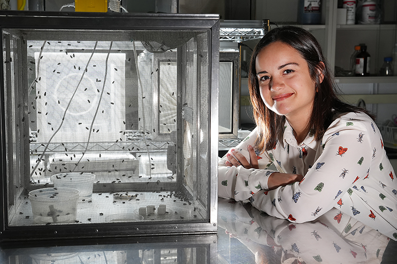 Teomie Rivera-Miranda