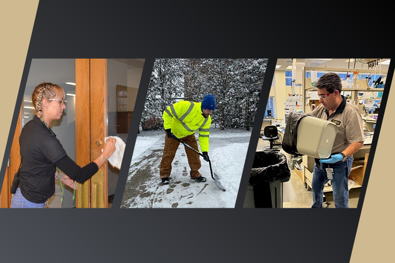 Building Services