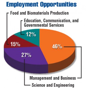 Food Pie Chart Usda