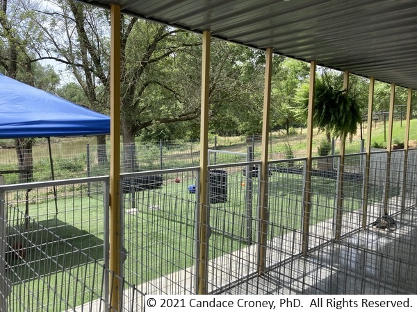 Photo shows the view of the exterior of the kennel from the building through the fenced exterior run to the play yard.  The exterior run has a concrete floor, modern metal roof supported by posts, and is fenced.  The fenced play yard is grass with a shade structure over a playhouse structure.