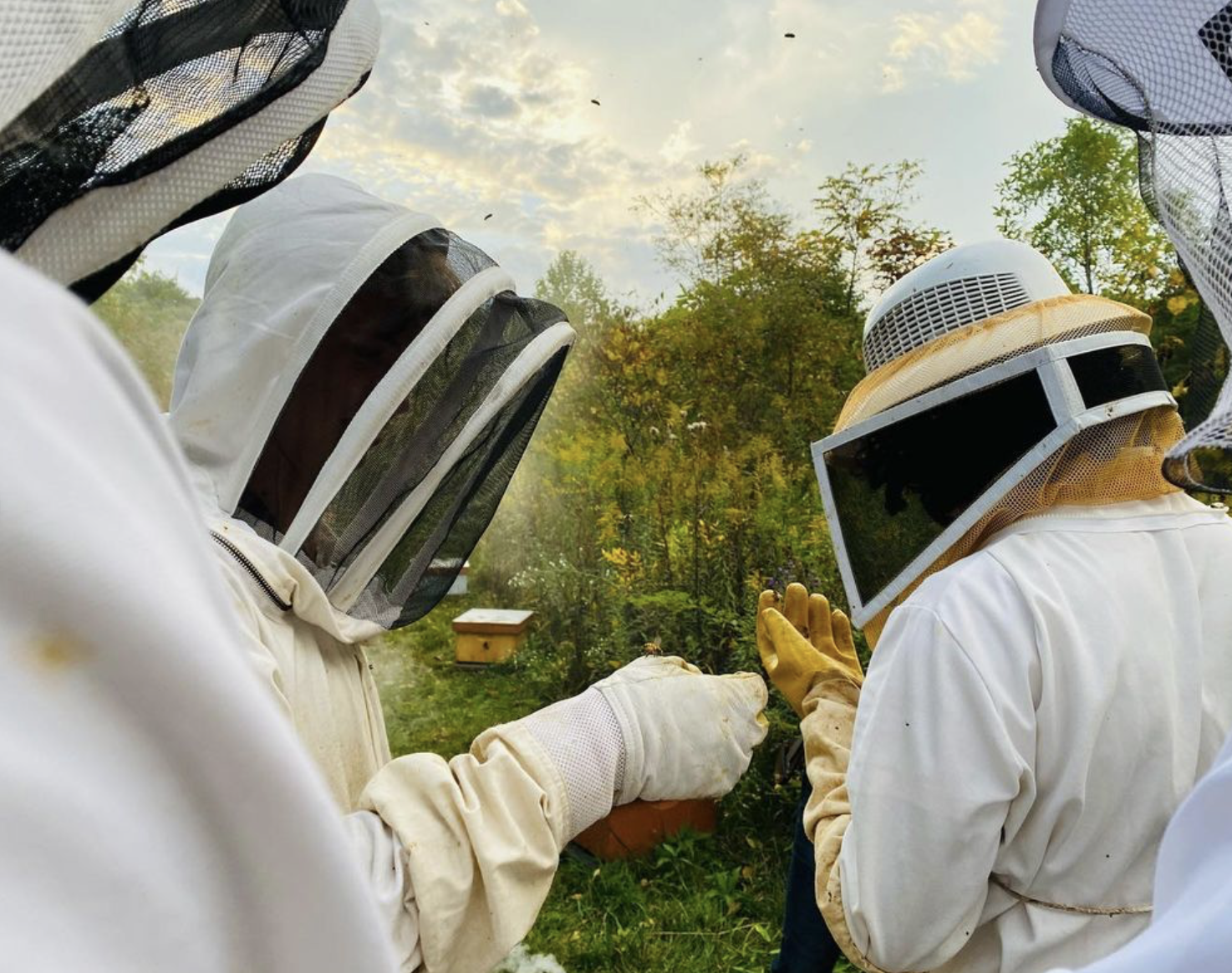 The Purdue Beekeepers