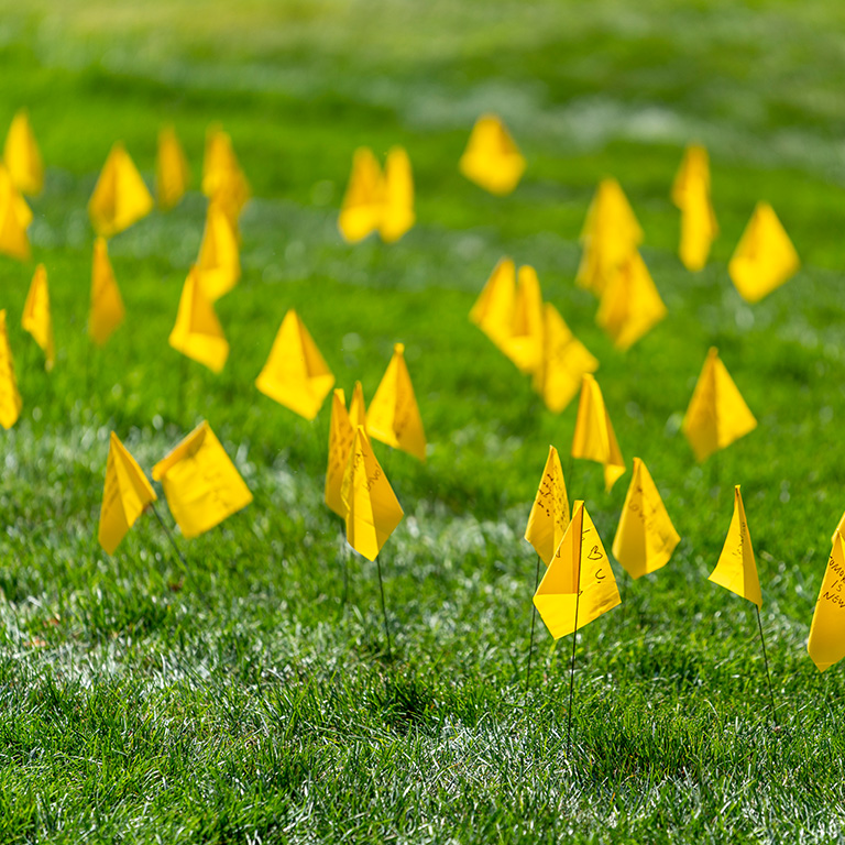 Photo of the Field of Memories: Be Aware, Show You Care Flag Exhibit