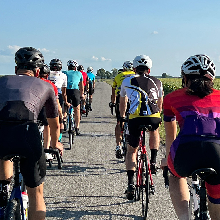 Cyclists riding down a road.